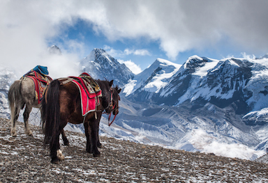 Nepal